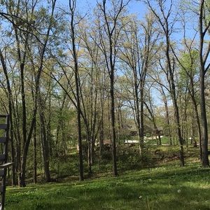 Meet your Posher, Paycee